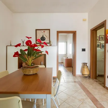 Girasole By Barbarhouse